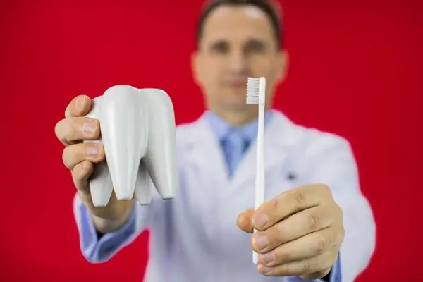 Todo sobre la salud dental La importancia del hueso alveolar y los dientes