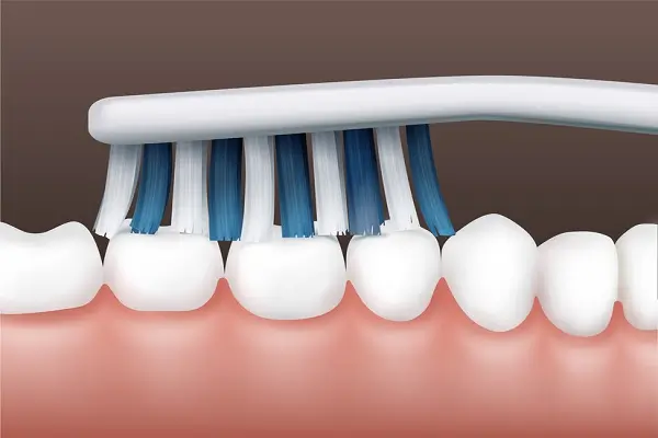 Todo lo que necesitas saber sobre las capas de los dientes