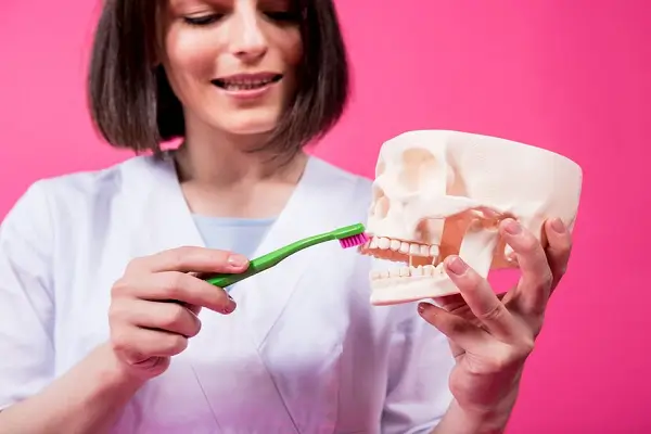 Explorando la importancia del hueso en los dientes